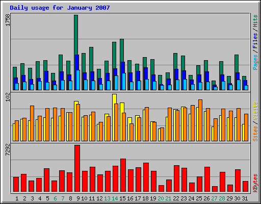 Daily usage for January 2007