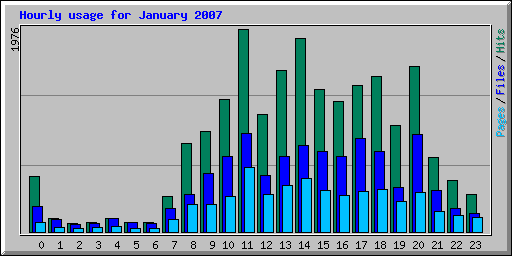 Hourly usage for January 2007