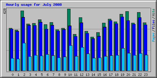 Hourly usage for July 2008