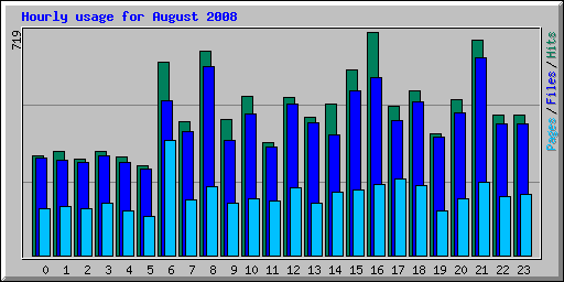 Hourly usage for August 2008