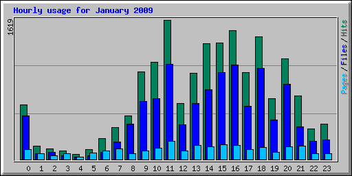 Hourly usage for January 2009